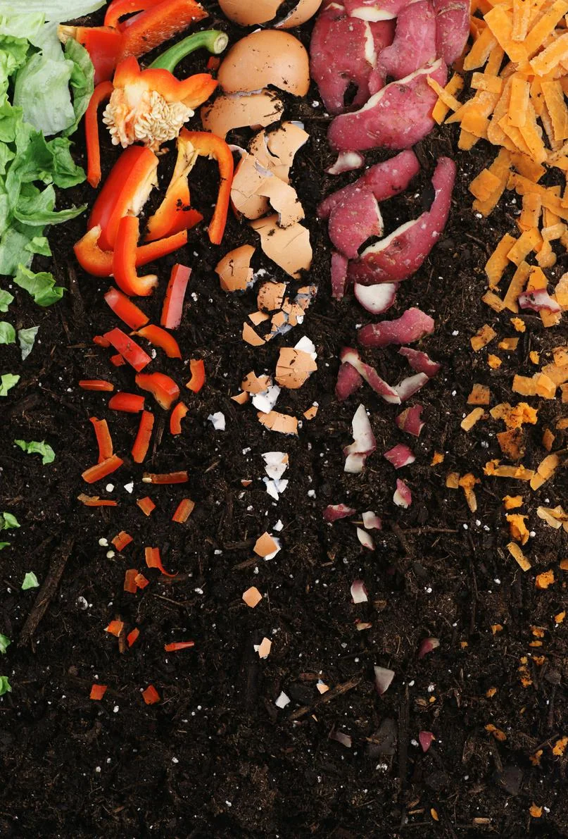 Capas de materia orgánica preparadas para compostaje