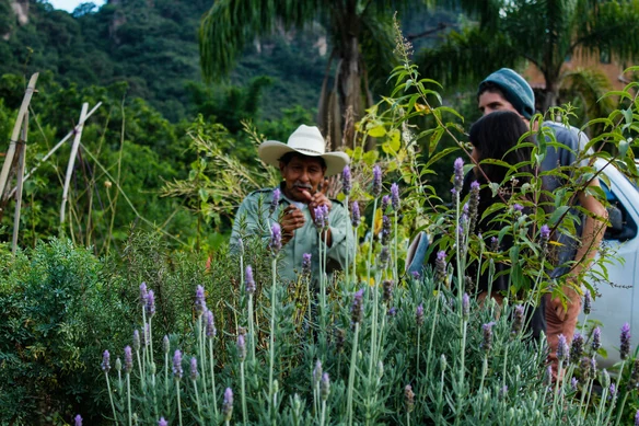 People taking part in a hands-on gardening activity among plants