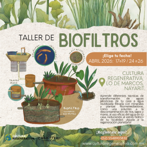 PREVENTA - Taller de BioFiltros